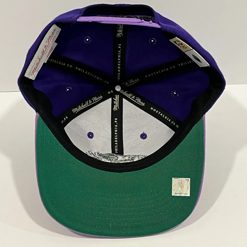 Vancouver Grizzlies HWC Mitchell & Ness PURPLE HAZE Snapback Hat